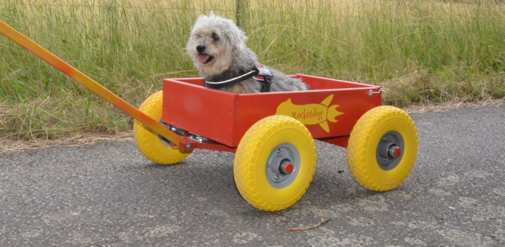 Diy dog trolley hotsell