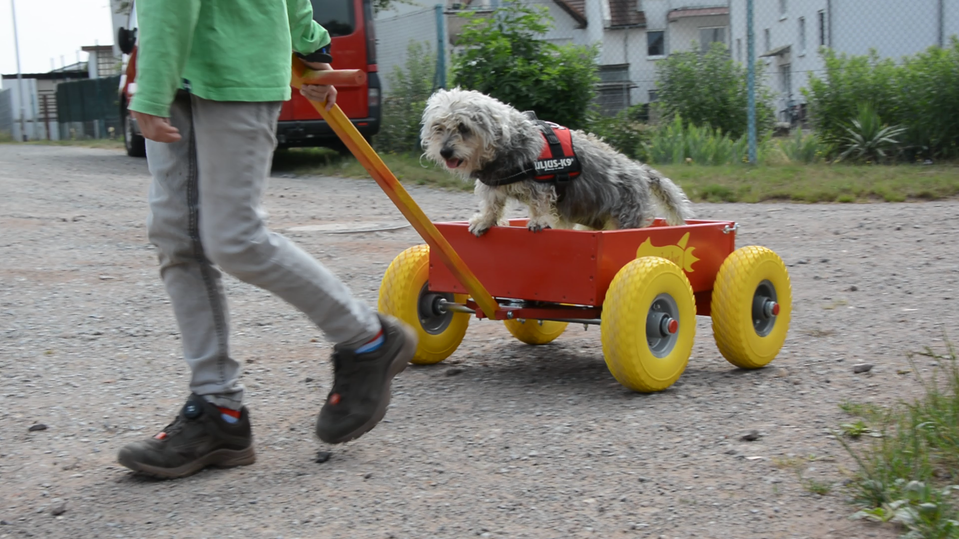 Dog Transport Wagon - woodworking with kids - Way of Wood